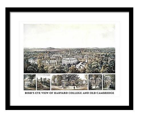 Birds Eye View of Harvard College and Old Cambridge in 1858 🧑‍🎓
fineartamerica.com/featured/birds…
#MoonWoodsShop #ArtForSale #AYearForArt #giftideas #BuyIntoArt #GiveArt #wallartforsale #interiordesign #university #collegelife #DormLife