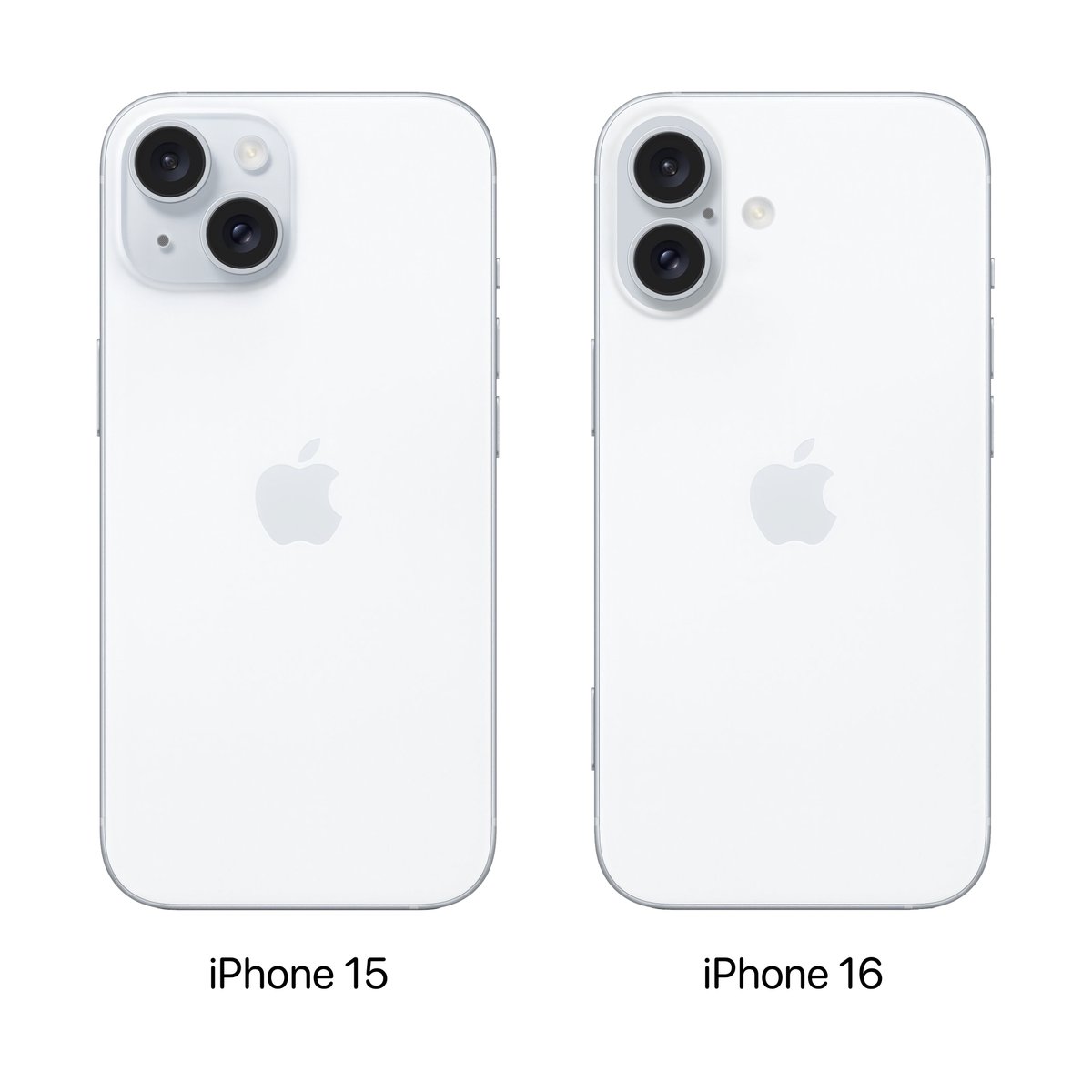 Apple Hub tweet media