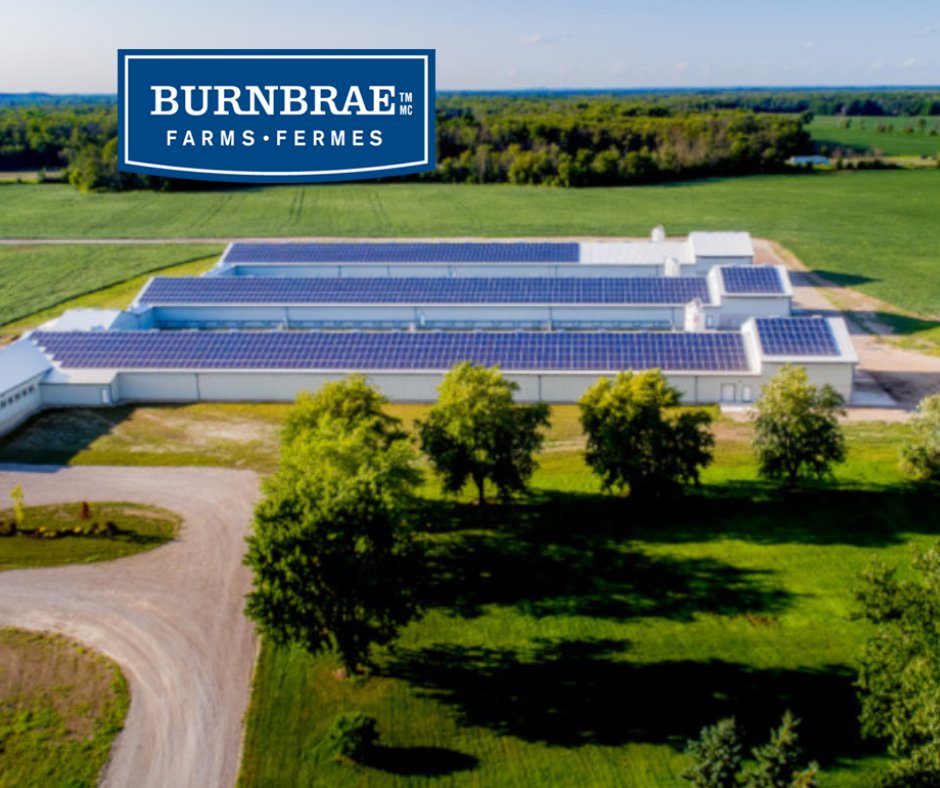 Burnbrae Farms has announced its plans to construct a new state of the art egg grading facility in Strathroy, Ontario. To learn more about Canada's largest family-owned and operated egg business in Canada - click here: burnbraefarms.com/en/