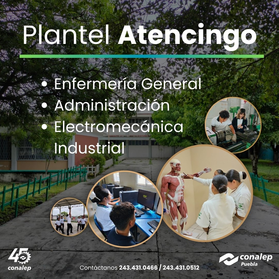 Conalep_Pue's tweet photo. 📌 Conoce las opciones que tenemos para que tengas un futuro brillante. ✨ Conviértete en una o un profesional técnico-bachiller. 😷📊🔌🧑🔧 Egresa de alguna de nuestras tres carreras con título y certificado. 🎓📃 #SomosConalep #ConalepTransforma 🟢💪 https://t.co/9jIiim0vRo