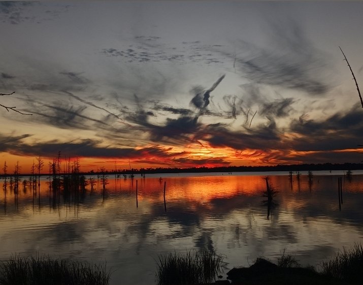 ○: Found my old camera, found this lil gem in it, might start doing more photography in the near future.