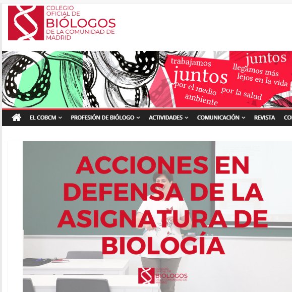 Simio docente tweet media