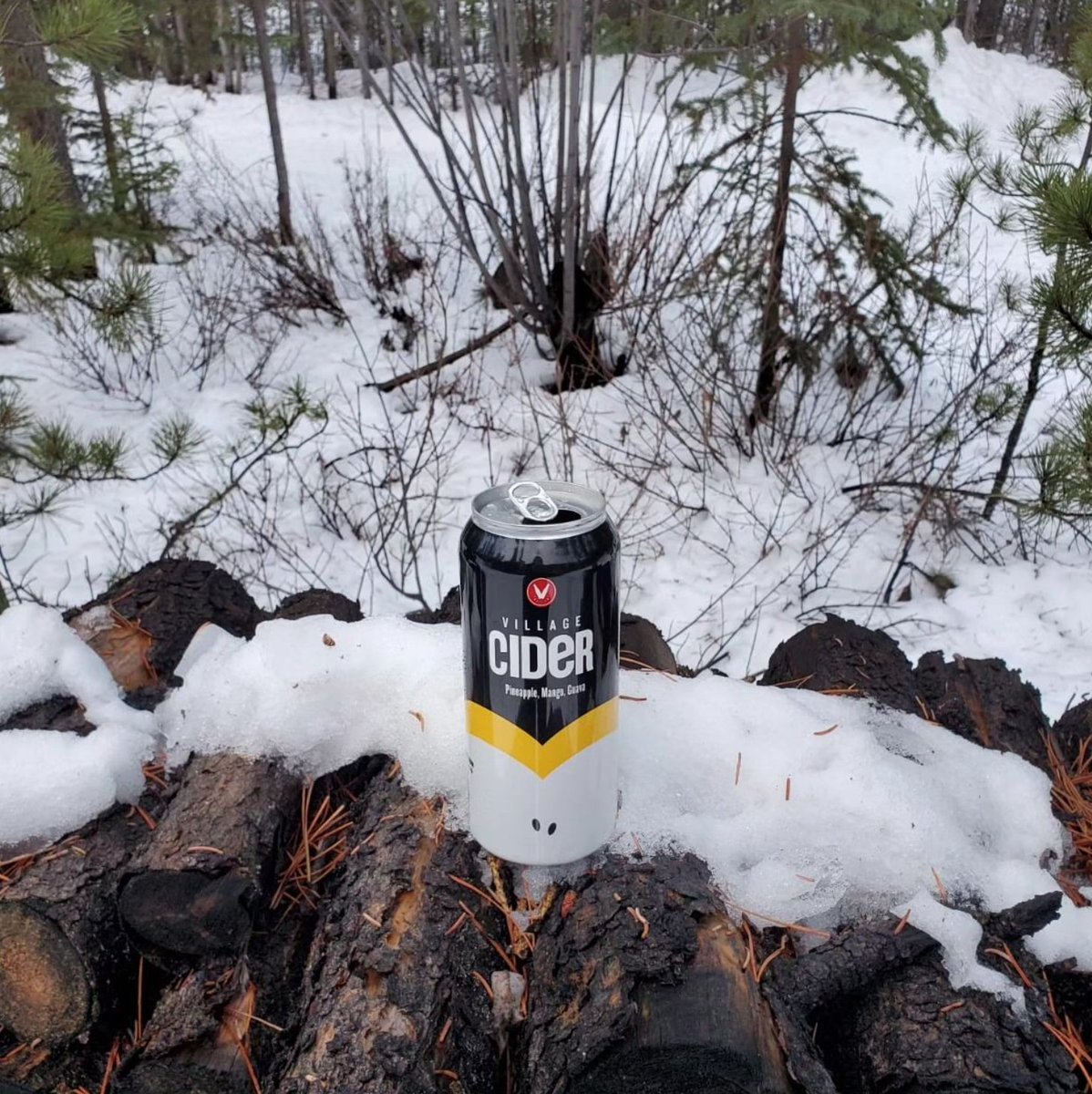 A dogsledding trip through the Yukon wouldn’t be complete without a Tropical Cider to warm you up and take you to paradise! Thanks for the photos @torontocidergirls!

A semi-sweet, semi-dry cider with delicious fruity notes of mango, guava, and tart pineapple.