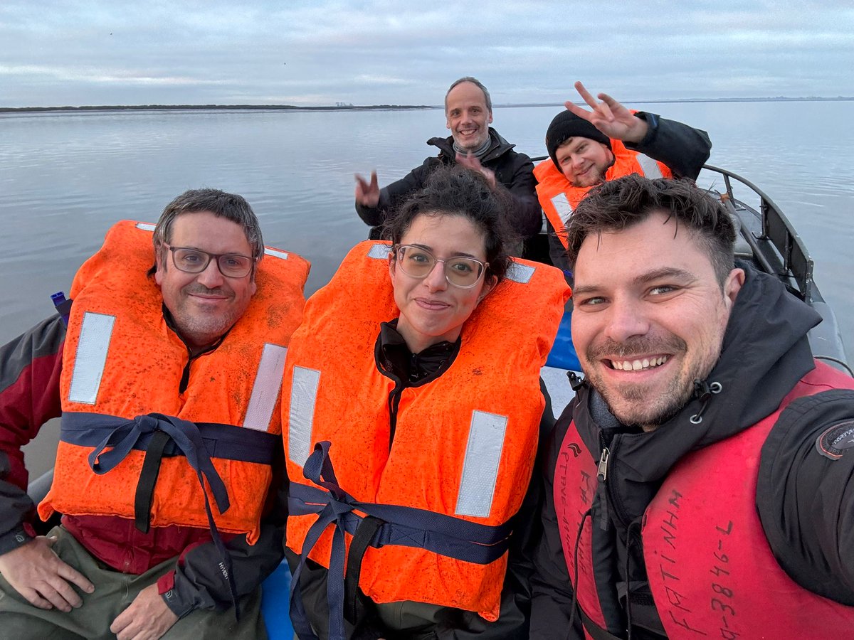 In January, our @RESTORE4Cs team went on their 2nd fieldwork campaign in Ria de Aveiro to collect data that will help unravel the impact of restoration actions on the capacity of wetlands to mitigate climate change. #restore4cs #RiaDeAveiro #EnvironmentalConservation