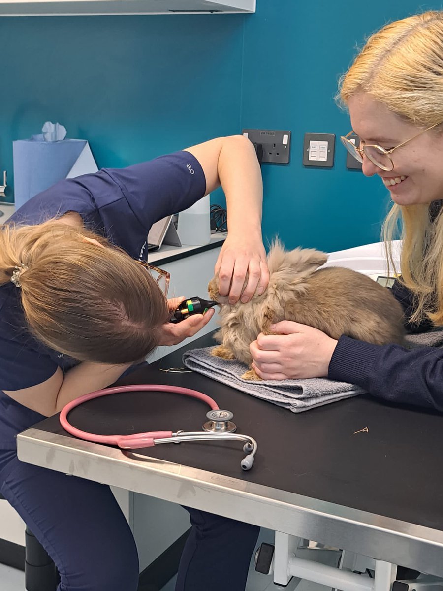 Garden Vets At Keele tweet media