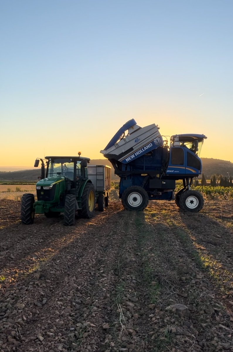 Desde la #DOCariñena mostramos nuestro apoyo a los #agricultores que hoy se manifiestan en distintos puntos de España. Vuestra labor es fundamental para nuestra sociedad y economía, y vuestro esfuerzo merece reconocimiento y respeto.