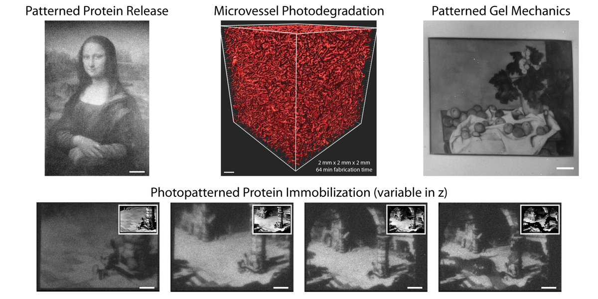 HUGE NEWS! In our new preprint, we introduce “grayscale image z-stack-guided multiphoton optical-lithography” (GIZMO) to rapidly photomodulate materials in full 3D non-binary patterns at sub-µm resolutions spanning large volumes (>mm3).

biorxiv.org/content/10.110…

Paper 🧵 (1/19)