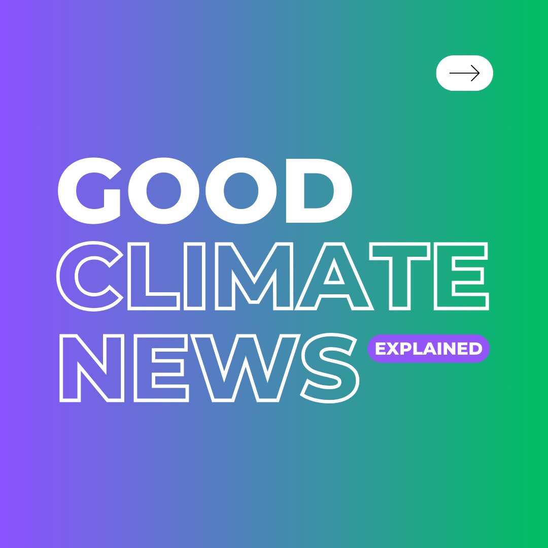 🌈 Embrace the positivity! It's time for our bi-weekly roundup of Good Climate News. 

Let us know your favorites in the comments! 💚

#GoodClimateNews #PositiveNews #PositiveClimateNews #HeartfeldtFoundation