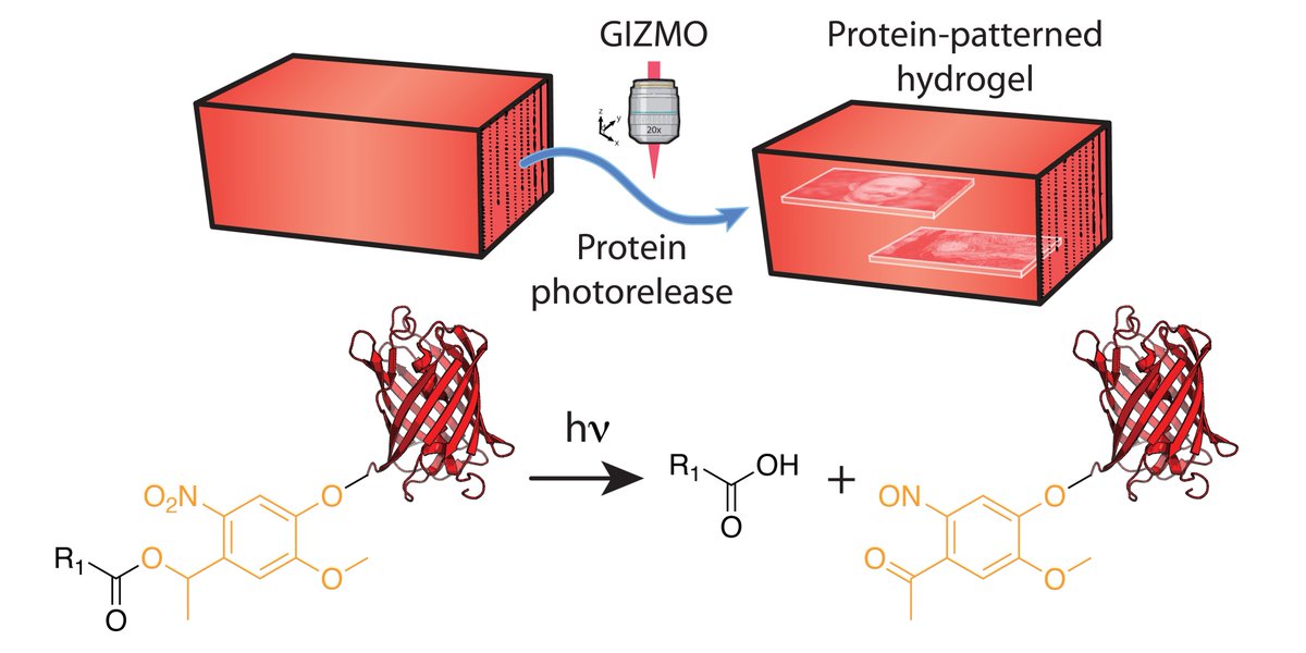 Cole DeForest tweet media