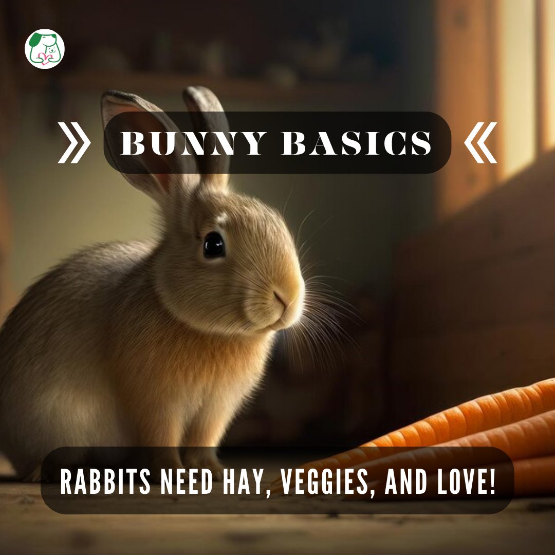 PetsLoverGuide's tweet image. All a rabbit needs is hay, veggies, and lots of love! 🌿💕 
Make sure your fluffy friend is hopping with joy! 🌈

#bunnylove #furryfriends #simplejoys #rabbitlife #petlovers #simplehappiness #cuddlebuddy #furbabybasics #loveyourrabbit #healthybunnyhabits #petsloverguide #rabbit
