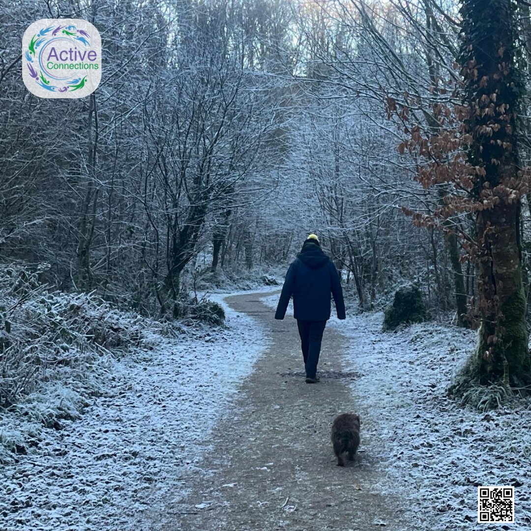 Frosty walks at Gleshalane Woods #newtrails #ireland #gleshalanewoods