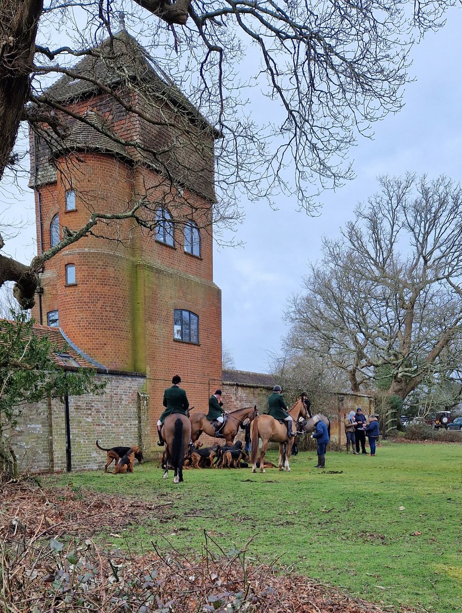 bonniebluebell2's tweet image. Lister Tower Fritham New Forest  Bloodhounds today #cleanboot