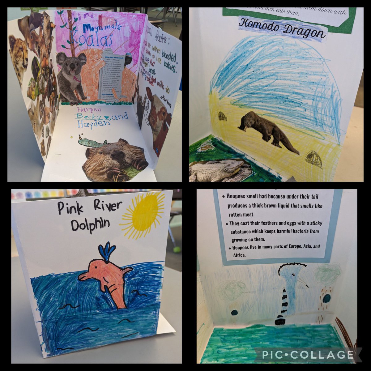 The Califon Public School tweet media