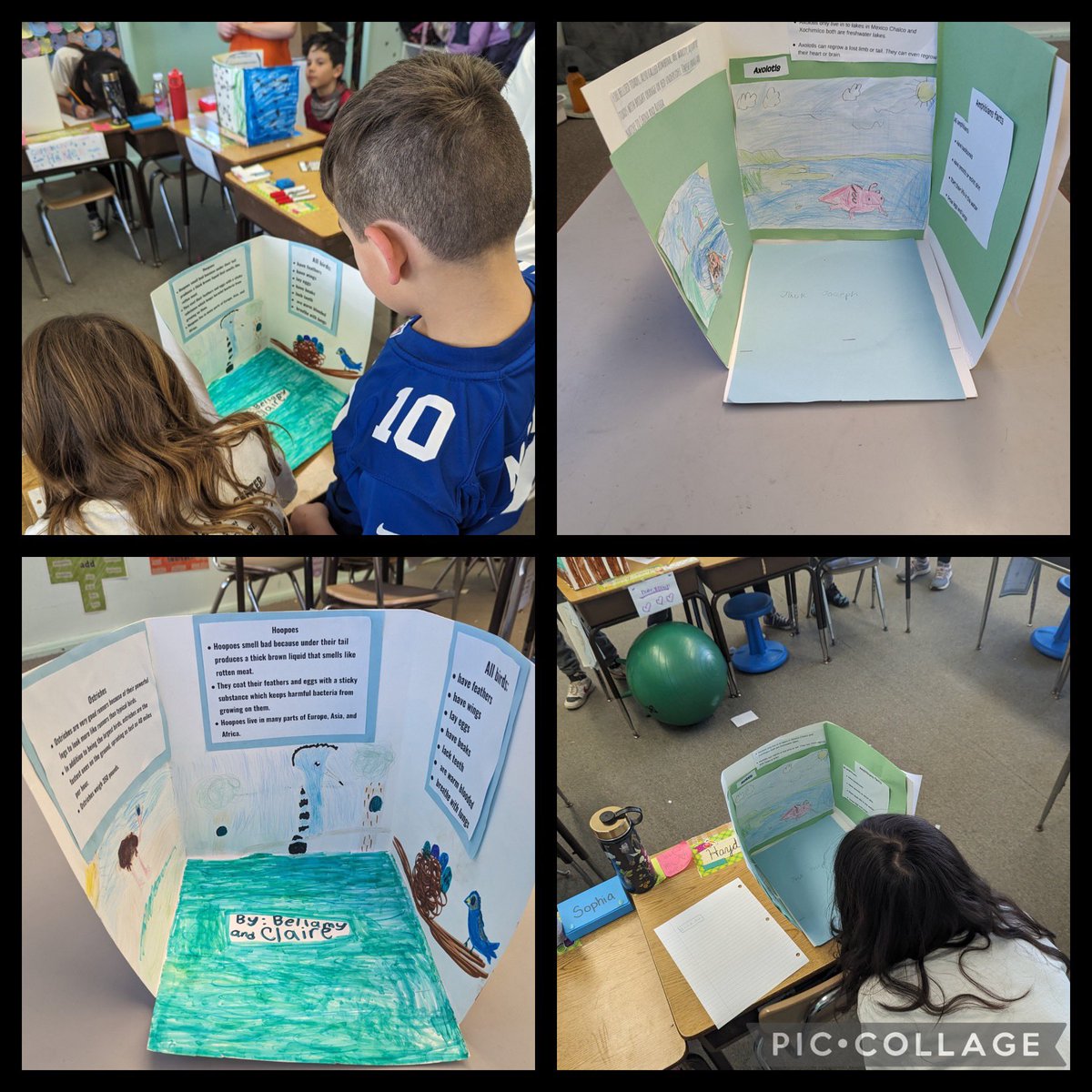 The Califon Public School tweet media