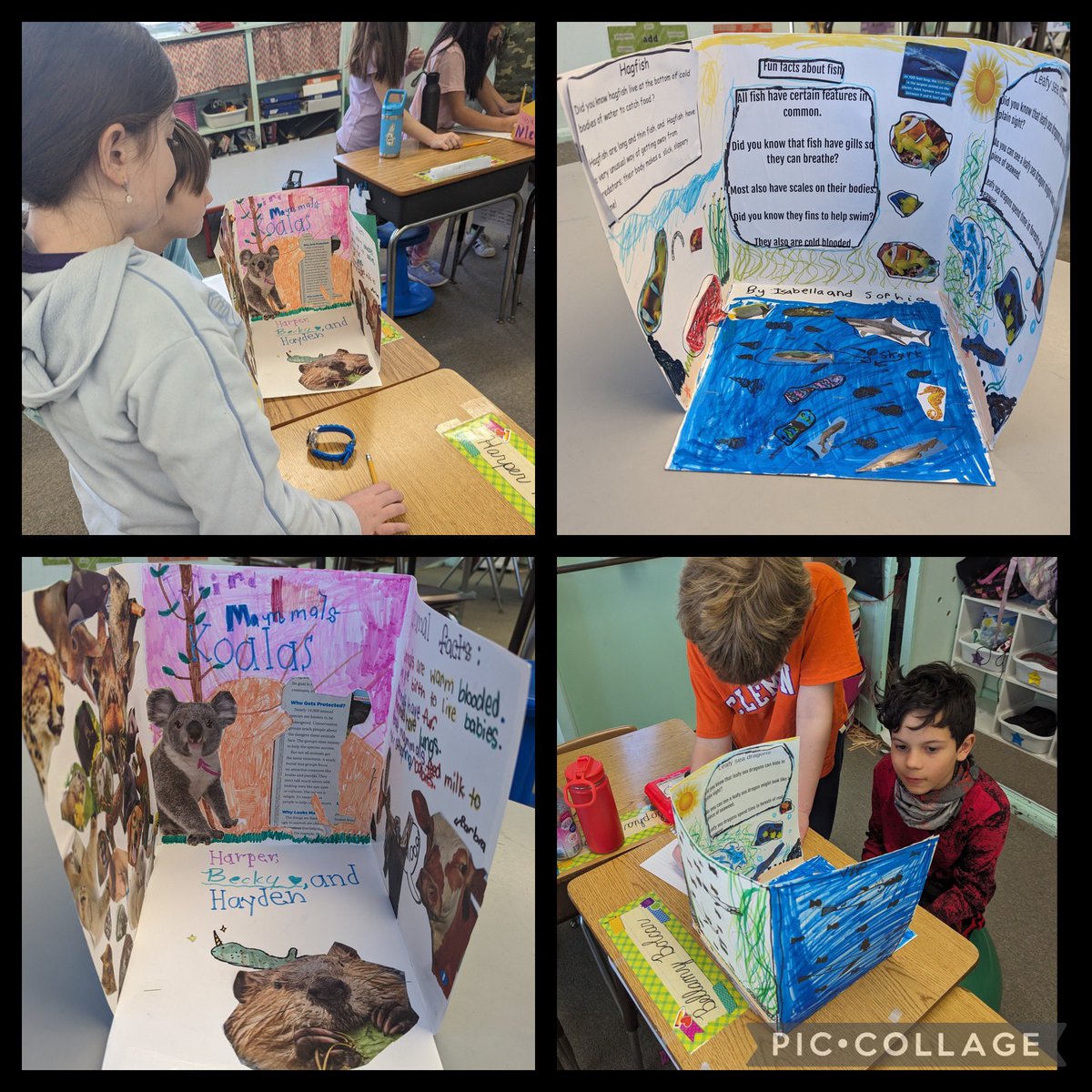 The Califon Public School tweet media