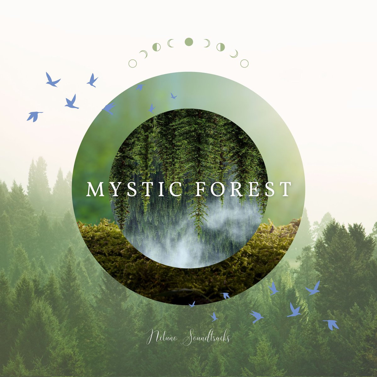 🚨 New Music Alert 🚨

'Mystic Forest' is an ambient meditative ethereal music track.

Streaming platforms/download/licensing this music:
bio.link/netuno

#meditationmusic #meditation #relaxingmusic #yogamusic #music #ambientmusic #meditationpractice #meditationspace