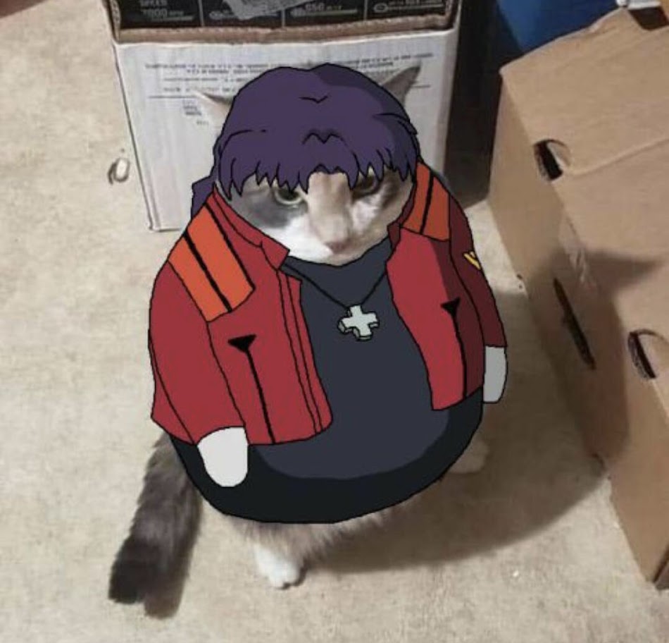 eva posting (@evangelionjpeg) on Twitter photo 