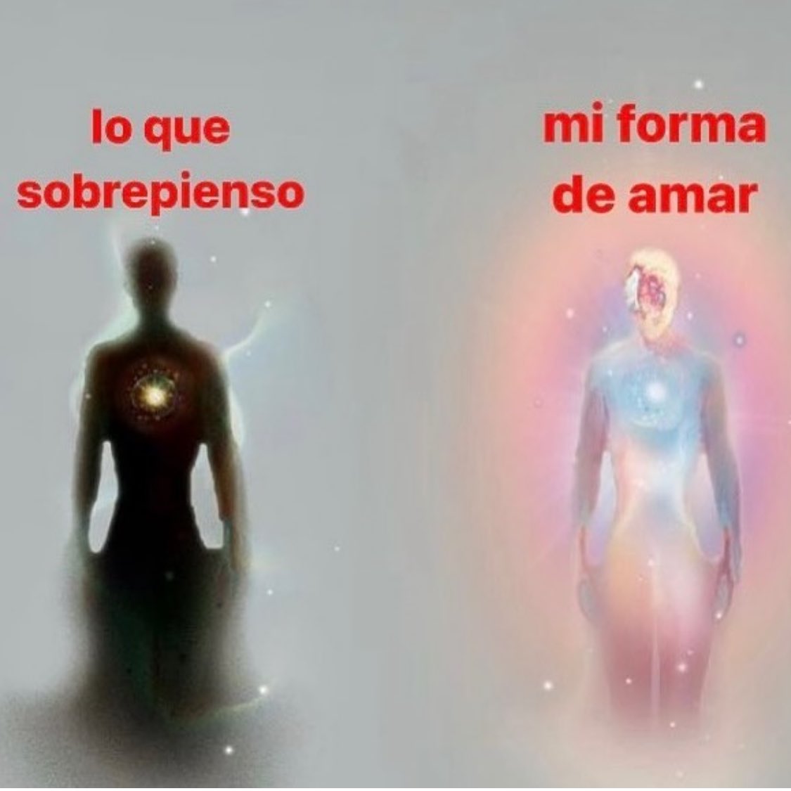 made w sugar & spice tweet media