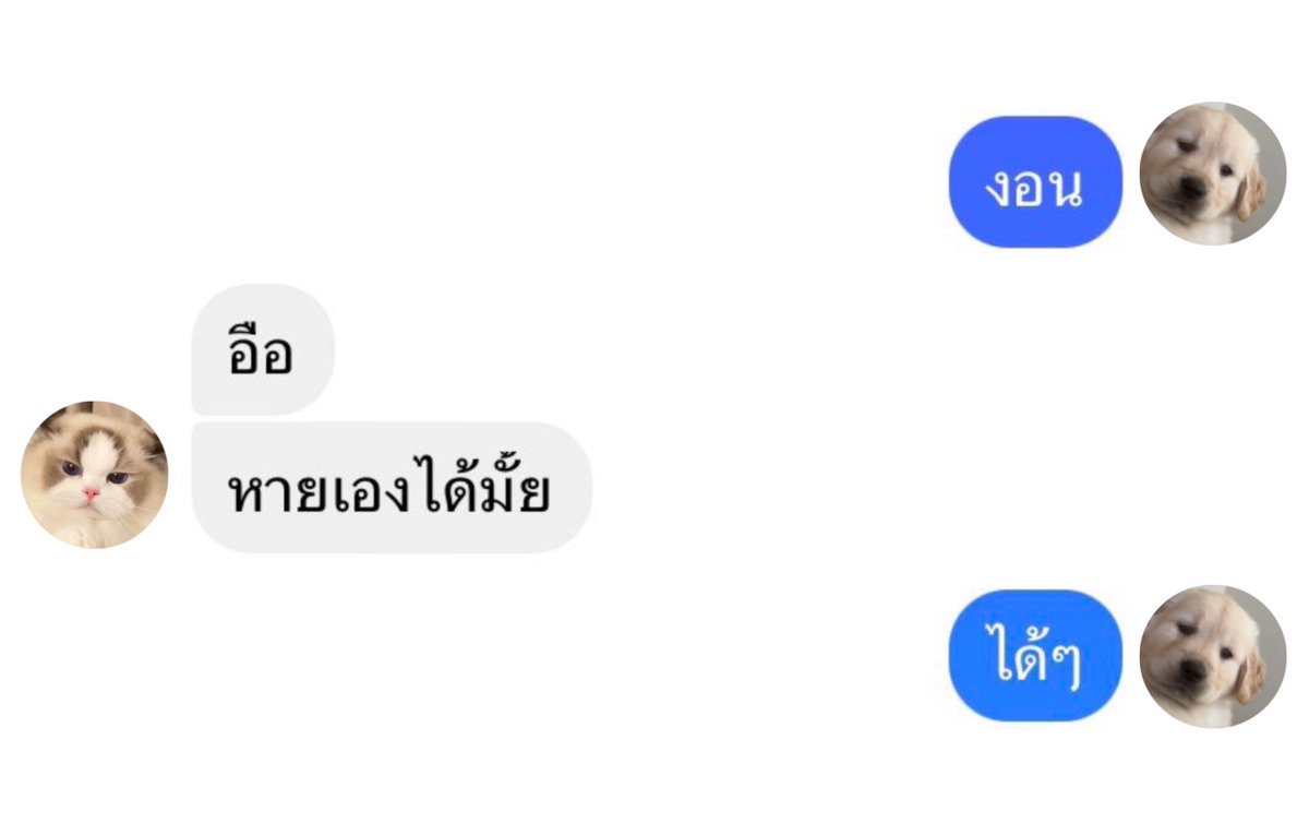 takemybear 🐶 tweet media