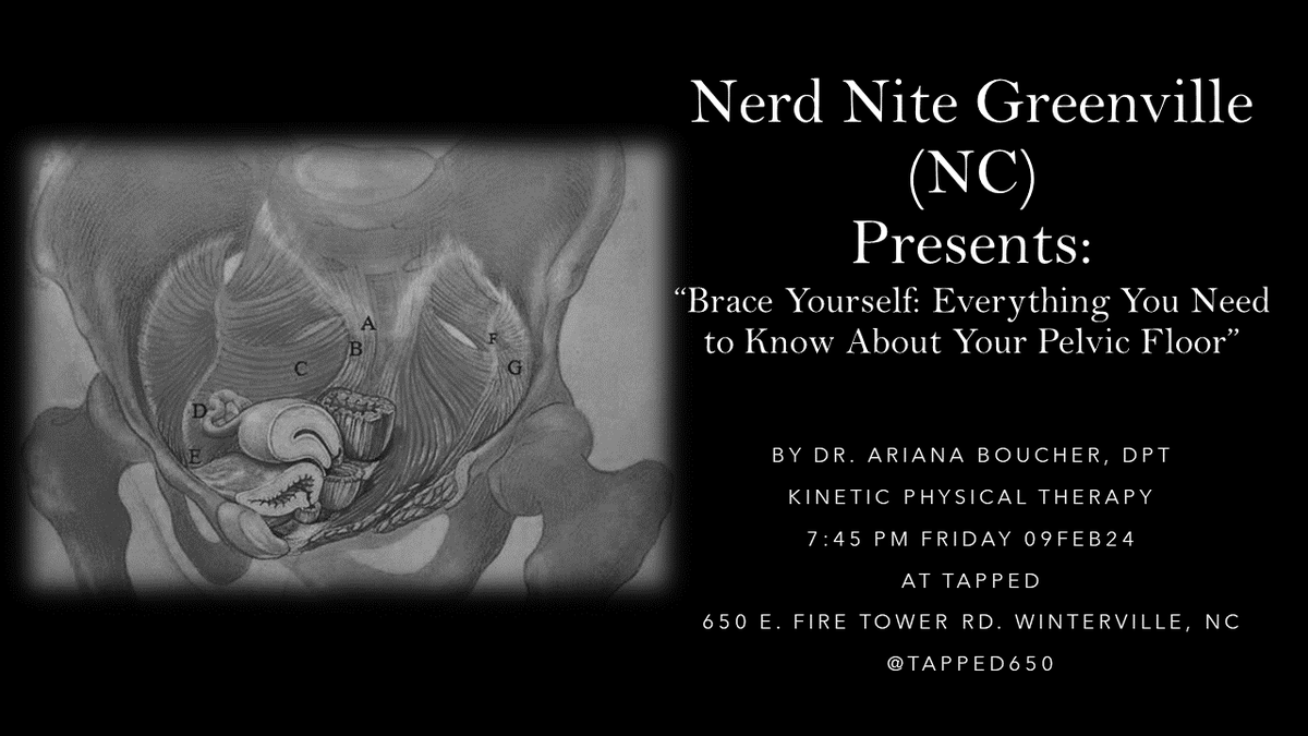NerdNite252's tweet image. Our February edition of #NerdNitePGV is THIS Friday (09feb) @Tapped650 at 745pm!! Come have a beer with friends, and learn all about your pelvic floor! #BeThereAndBeSquare