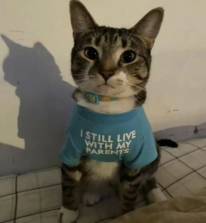 EverythingOOC's tweet image. In this economy, I don’t blame bro