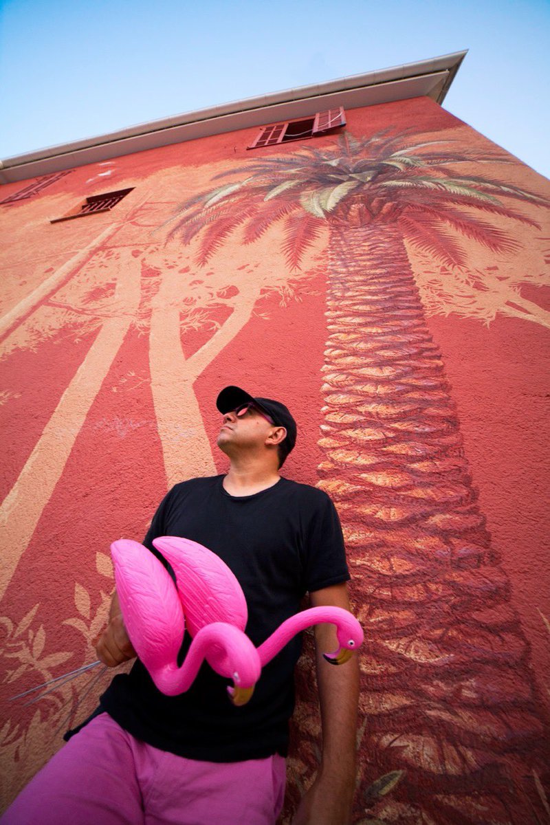 🦩 youtu.be/h2aDvMcC7Ek #Flamingo #CôtedAzur #FrenchRiviera #France 🎶 🇫🇷