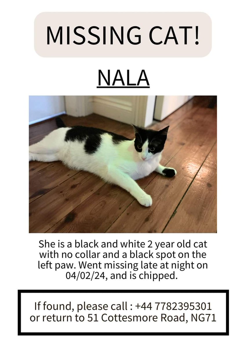 Nala's owners left her in Nottingham while they went on holiday
Nala has escaped from the #Lenton area of Notts
Nala normally lives in Norfolk!
She will be lost & disorientated!
💔💔

#lostcatsofnotts 
#FindNala
#Cottesmore Road
#Lenton
#NG7
#Nottingham 
#Notts 
#Nottinghamshire