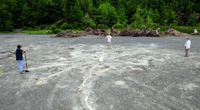 Scientists have discovered the world's oldest forest in an abandoned quarry near Cairo, New York. The 385-million-year-old rocks contain the fossilized woody roots of dozens of ancient trees.

Check out this resource for more information. 
 science.org/content/articl…