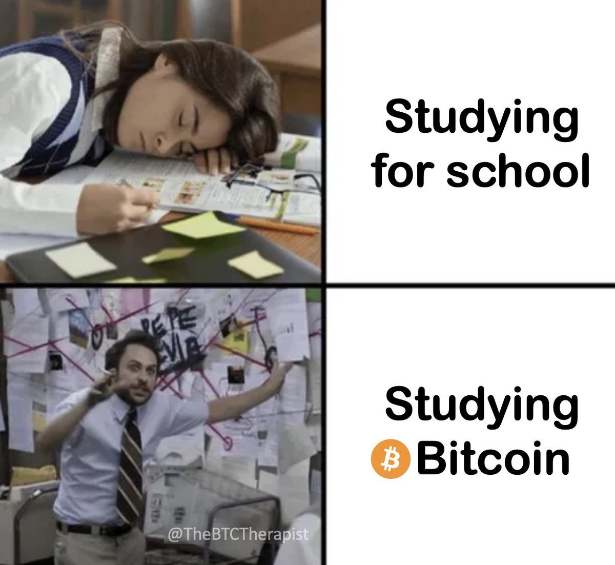 DOZO@deed tweet media