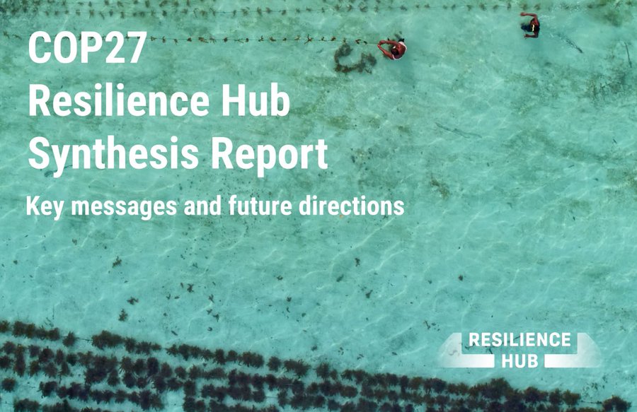 Exciting news from @copreshub🌍🌾 Their COP-28 report highlights the impactful Sustainable-Rice NDC Alliance, proving the potential of global collaboration for regenerative agriculture and other insights. 🌱🤝 🚀🌿 #SustainableAgriculture #SRI #environment cop-resilience-hub.org/cop28-synthesi…