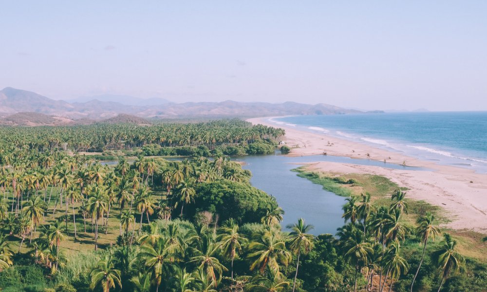 Learn more about Playa Viva, CREST platinum sponsor since 2019, to learn more about their watershed regeneration project, ReSiMar, community engagement efforts, and ongoing efforts to make their operations more sustainable. loom.ly/gpoZsYY