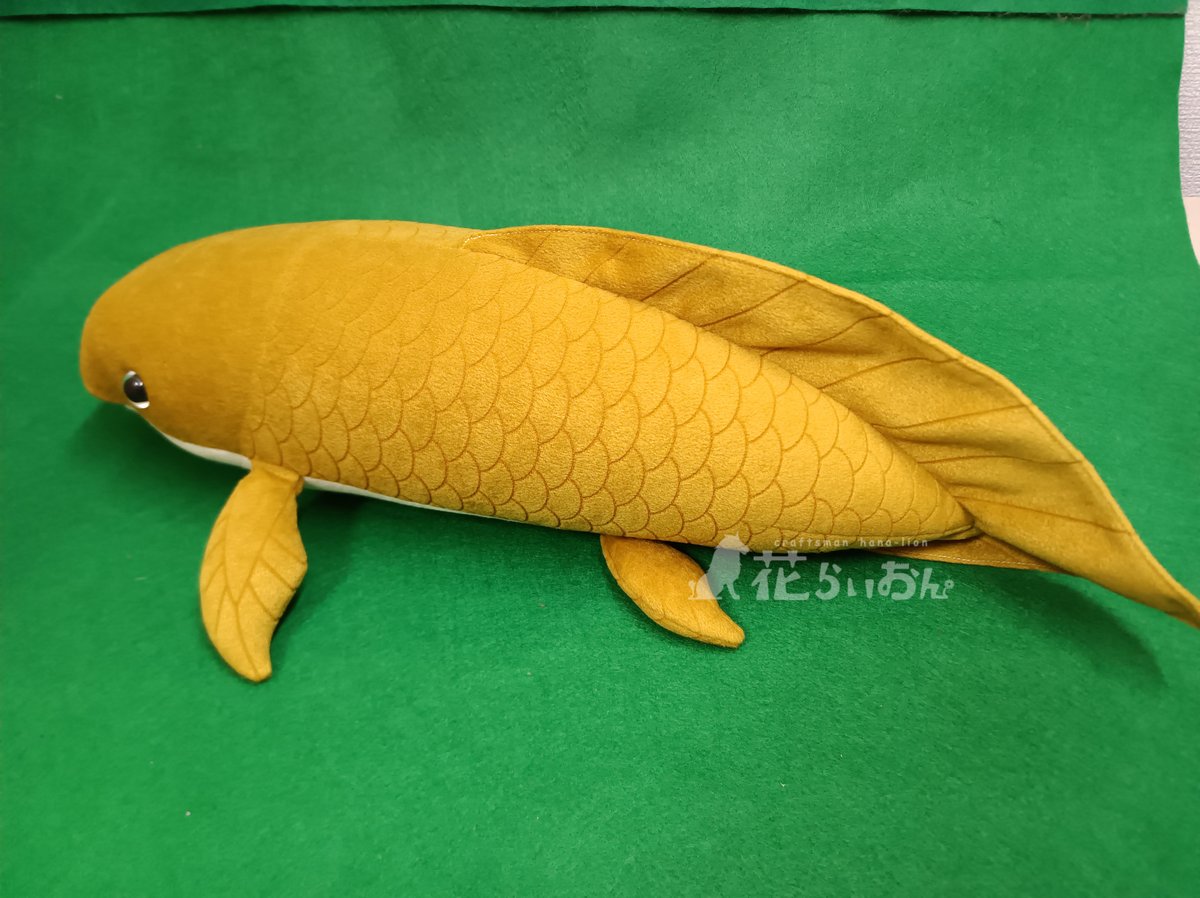 ネオケラトドゥス ぬいぐるみ こんばんは アクアコーナーからお知らせ