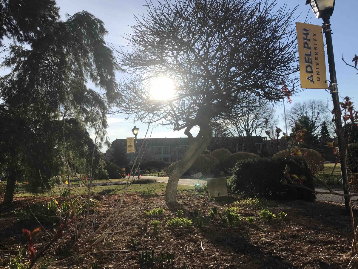 AdelphiU's tweet image. We love watching the sunrise at Adelphi! 🌅 #MyAdelphi