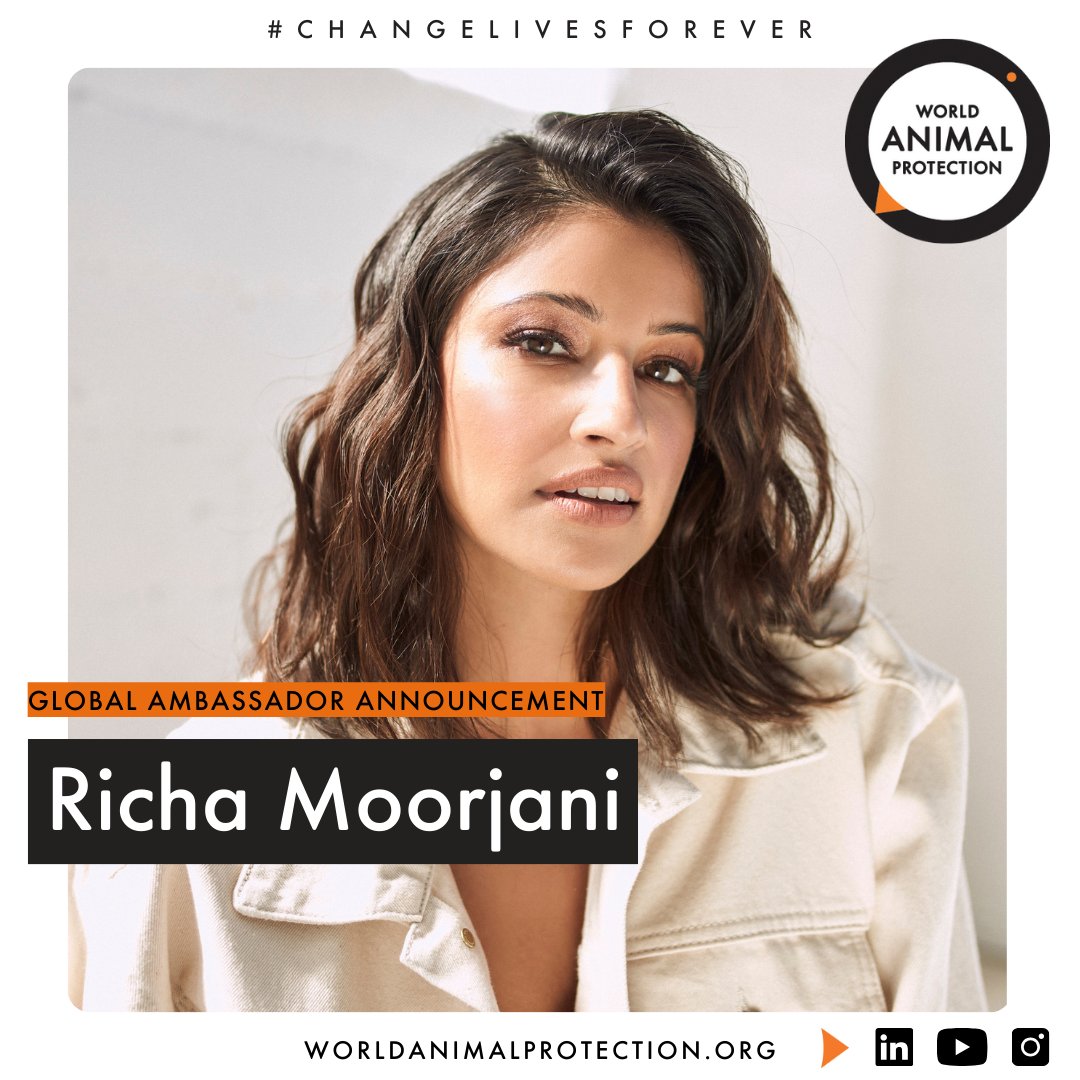We are pleased to announce Richa Moorjani as a new Global Ambassador! Well-known for her roles in Never Have I Ever and Fargo, her role as a Global Ambassador will be a key part of advancing our mission to create a world where animals live free from suffering and cruelty. Richa