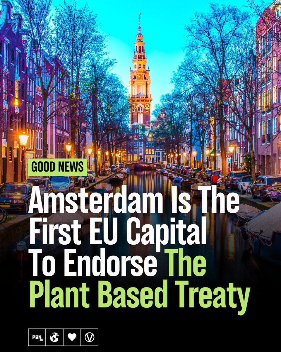 PlantBasedNews's tweet image. The Dutch capital has joined the likes of Edinburgh, Los Angeles, and Norwich in pledging to spotlight food production in tackling the climate crisis.

Read more here - plantbasednews.org/news/environme…