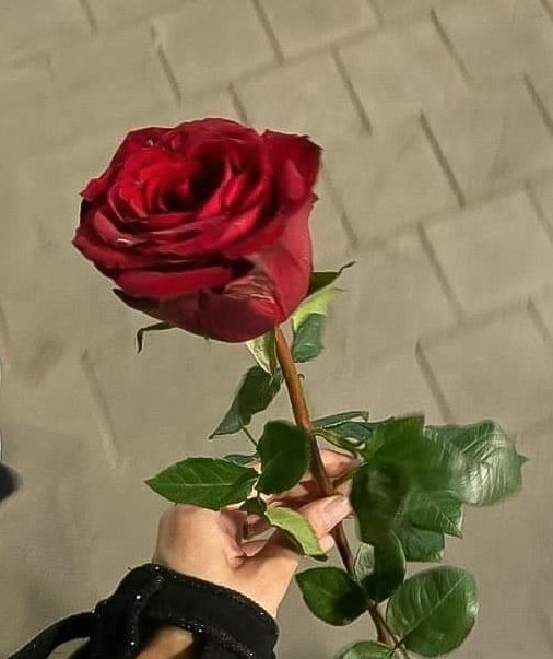 m_not_yours's tweet photo. How i treat him           How he treat me https://t.co/jyB4ZTcINb