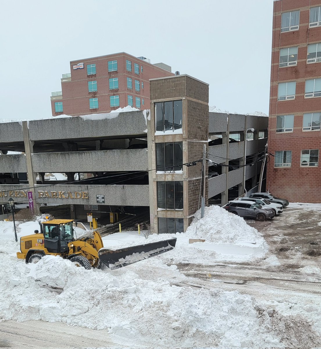 Eleanor Mohammed, RPP, MCIP, EP (@eleanormohammed) on Twitter photo Many thanks to the <a href="/ChtownPE/">City of Charlottetown, PE</a> Public Works team for their excellent efforts in clearing the snow from that crazy #peistorm. Please give them space to work & stay off the streets. #PEI #RoadSafety Many thanks to the <a href="/ChtownPE/">City of Charlottetown, PE</a> Public Works team for their excellent efforts in clearing the snow from that crazy #peistorm. Please give them space to work & stay off the streets. #PEI #RoadSafety