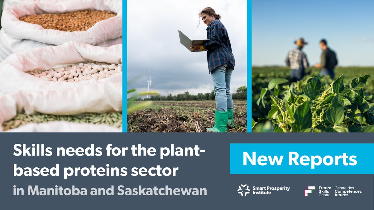 Today, in collaboration with @fsc_ccf_en, @SP_Inst has released 3 new reports exploring the economic opportunity that the #PlantBasedProtein sector brings to rural communities in #Manitoba and #Saskatchewan. (LINK): bit.ly/3Ugj0gt