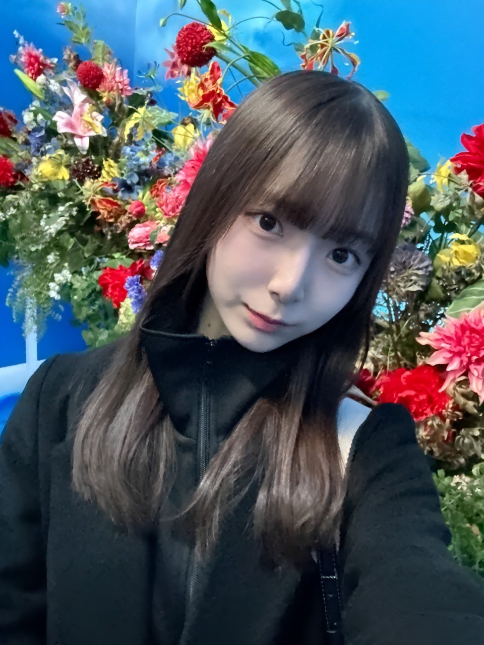 日向坂46 on X: 日向坂46 on X: