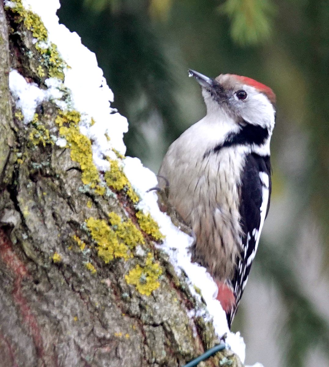 Neil Donaghy tweet media