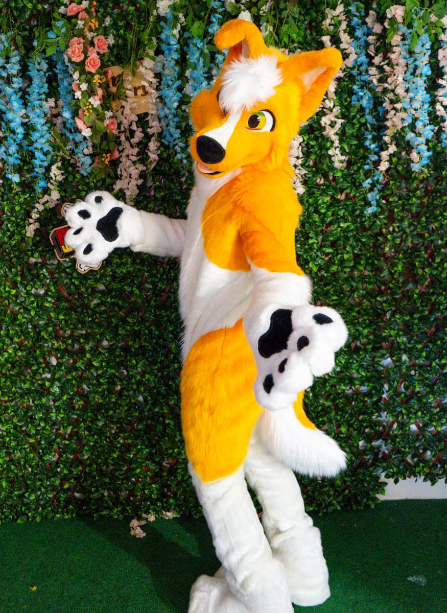 We are open for commissions. 
We will only be accepting 10 slots.
RumWolf.net