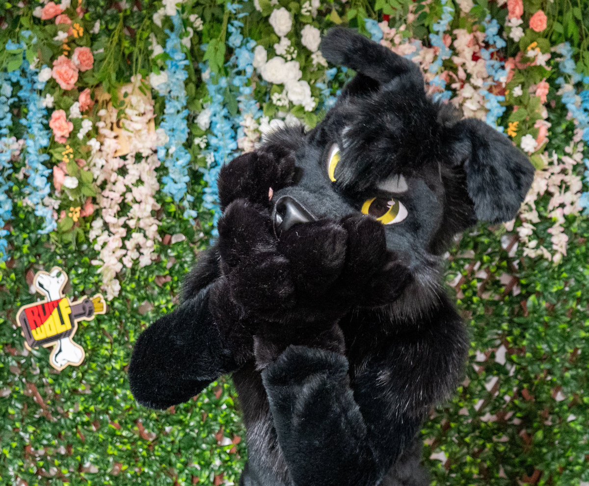 RumWolf's tweet photo. We are open for commissions. 
We will only be accepting 10 slots.
https://t.co/flYnyxjimK https://t.co/f1hW4aZ8Rn