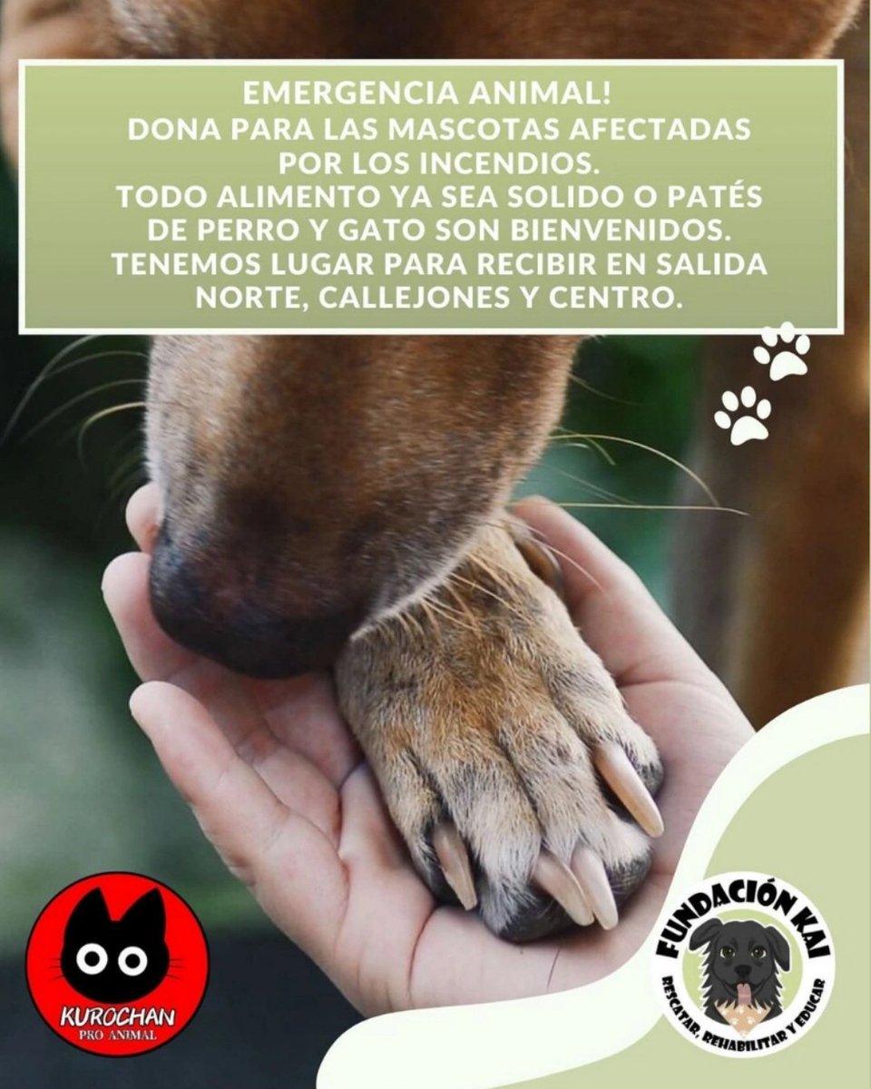 KurochanProAnim's tweet photo. 🚨 🐾Queremos ser un puente de ayuda, nos comunicaron que en Quilpué se necesita alimento para animalitos🐱🐶con la coordinación y transporte de 
@koke_dread
 queremos sumarnos junto a todos ustedes y a Fundacion Kai. Si quieres ayudar escríbenos por ig https://t.co/cDdWGpkEX7