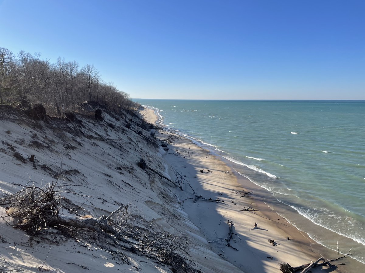 Michigan’s Critical Dune Area’s are part of the LARGEST collection of freshwater dunes in the world! 🌊 This unique natural resource is ours to protect and preserve. Explore the shifting sands of Michigan's Critical Dune Areas in our new story map: bit.ly/3SwxJRS