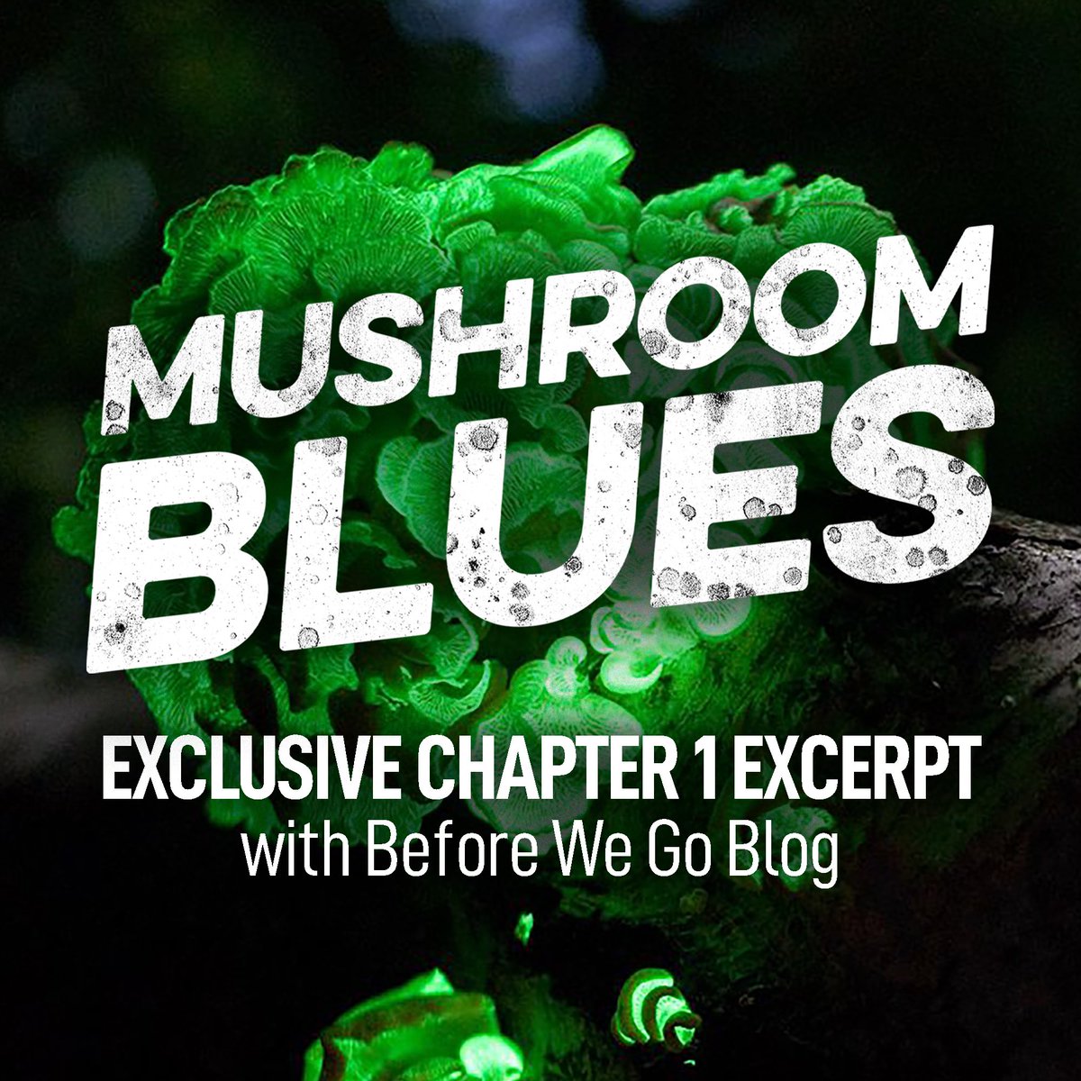 I simply can’t wait to share this with everyone tomorrow 😏 
#EnterTheFungalVerse #MushroomBlues