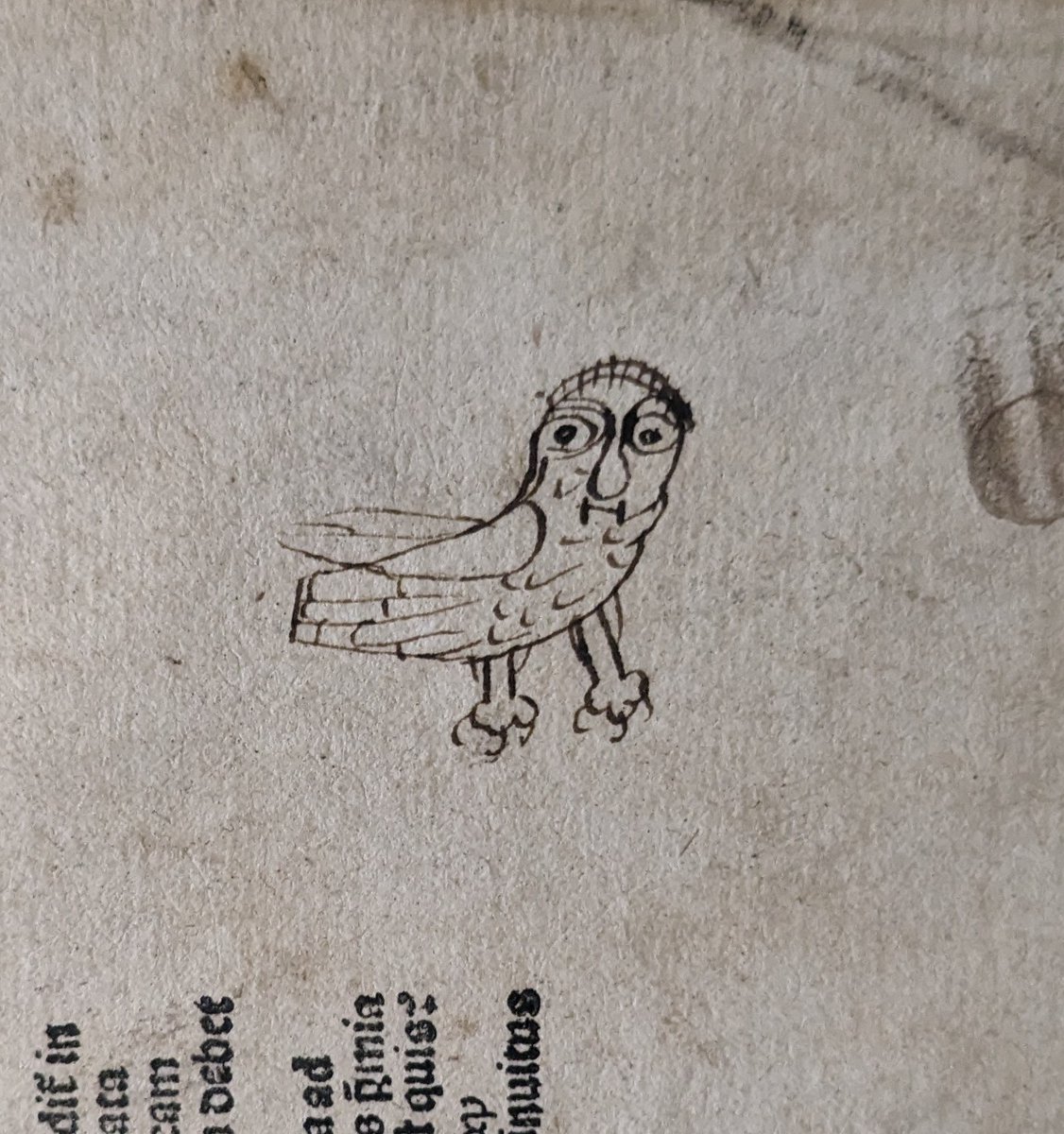 Lovely owl #doodle on a book printed in 1512.