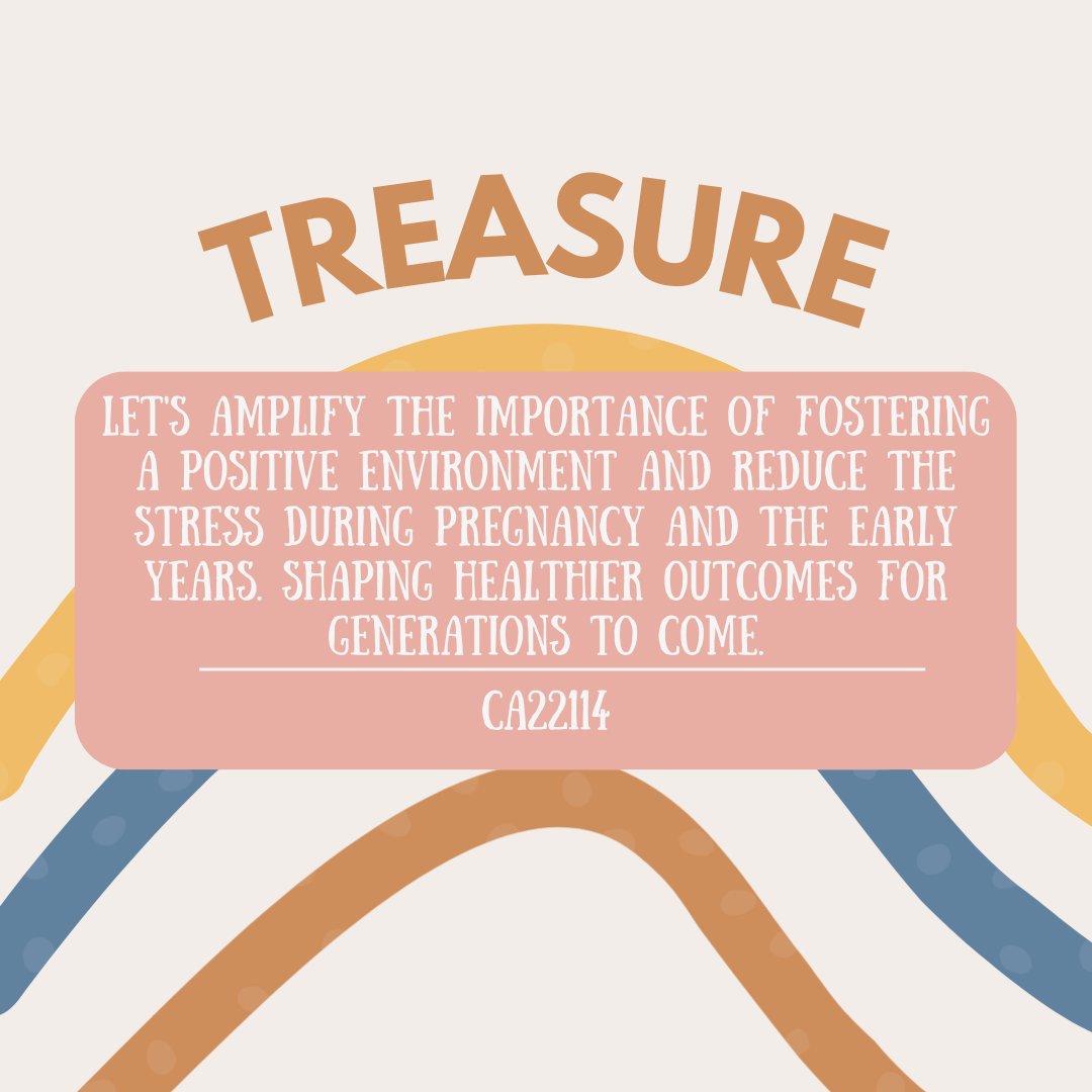 Treasure Cost Action tweet media