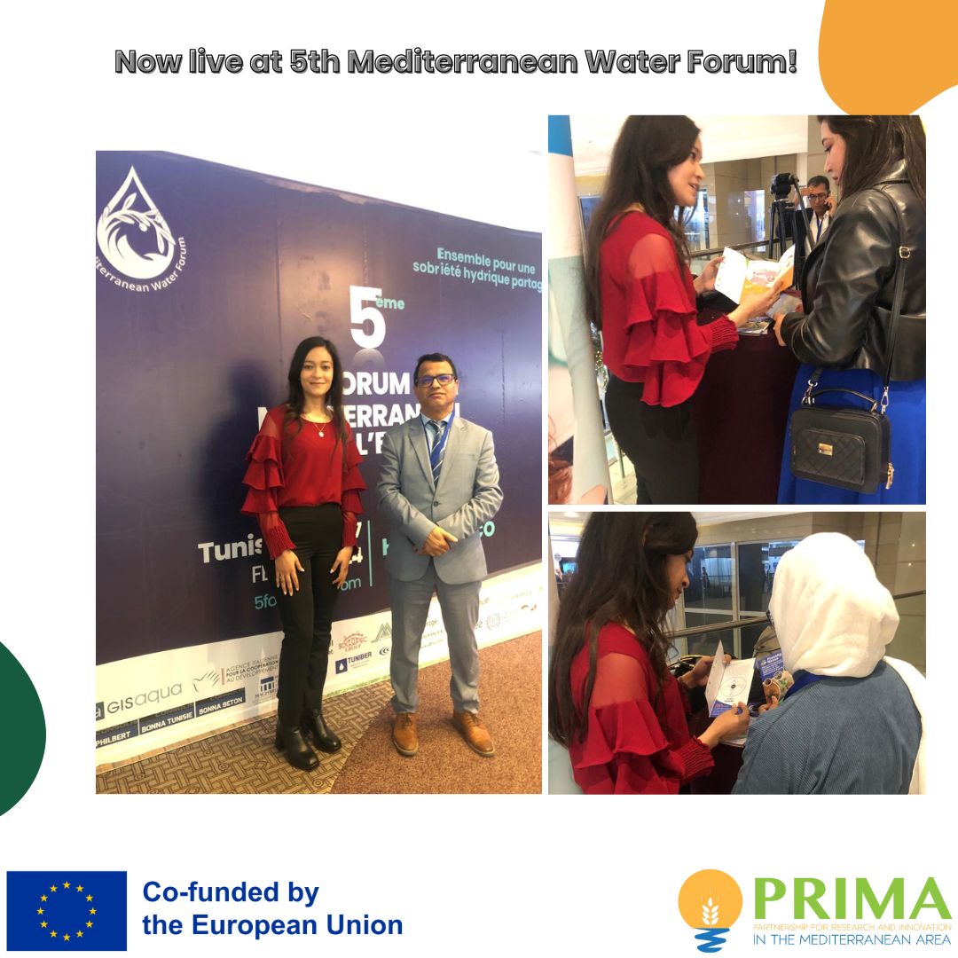 frontagnexus's tweet photo. Our partner, Elbosten Phytagri, is participating in the 5th Mediterranean Water Forum! Today's session delves into the crucial WEFE Nexus. 

They had met our PRIMA Project Officer, Mr. Ali Rhouma.

@PrimaProgram | @EU_Commission

#WEFENexus #Research #Innovation #PrimaProgram https://t.co/I6VpFgBJVz