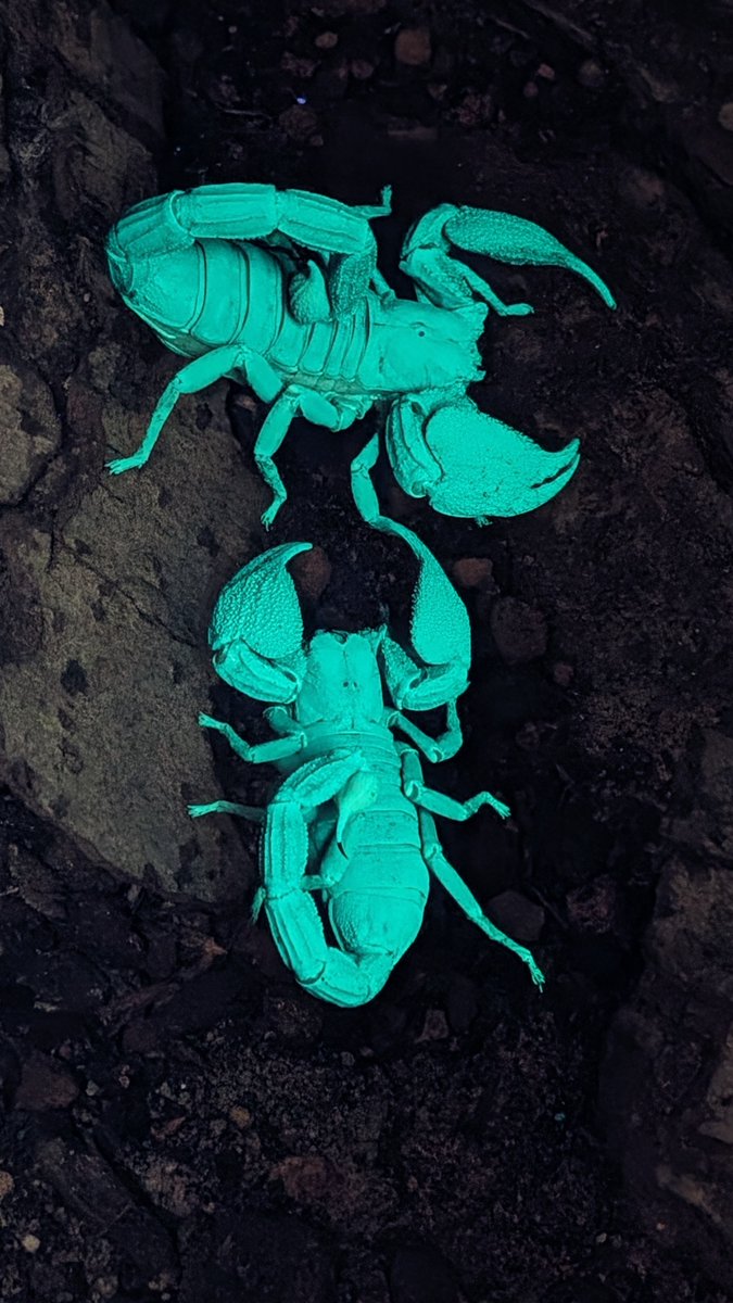 Definitely today's picture of the day  -  it's great to be a zoo vet!