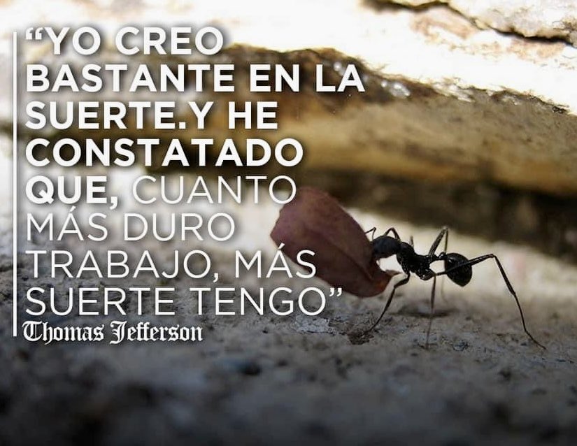 braulioesca's tweet photo. Buenos días 😃 https://t.co/o5DzmY9lqO